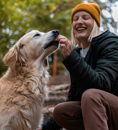 Woman giving dog a treat